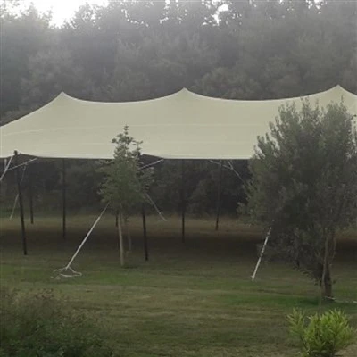 Stretch Tent Poles